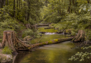 Brook in the forest, long time exposure, Canada Brook in the forest, long time exposure, Canada